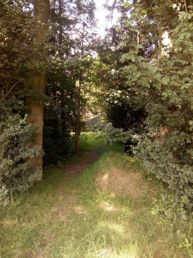 De Hoeve Mare Terre Giethoorn, Voor 1 Tot 6 Personen Exterior foto